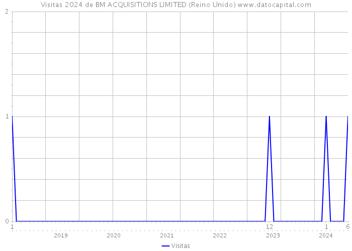 Visitas 2024 de BM ACQUISITIONS LIMITED (Reino Unido) 