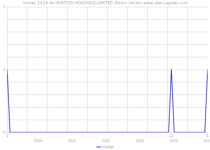 Visitas 2024 de HUNTON HOLDINGS LIMITED (Reino Unido) 