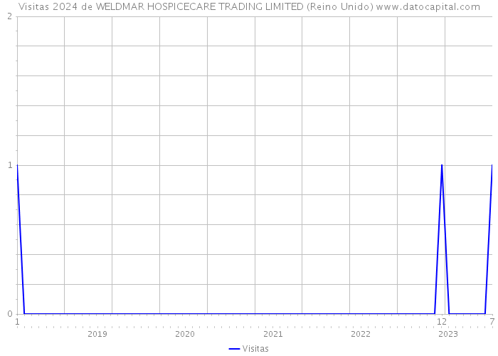 Visitas 2024 de WELDMAR HOSPICECARE TRADING LIMITED (Reino Unido) 