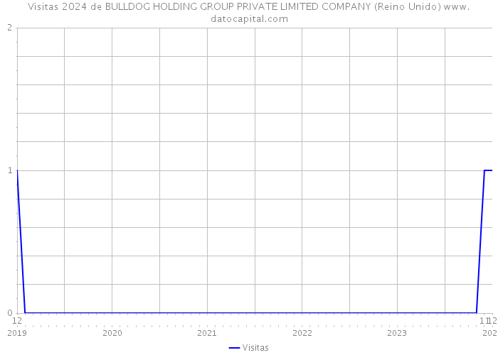 Visitas 2024 de BULLDOG HOLDING GROUP PRIVATE LIMITED COMPANY (Reino Unido) 