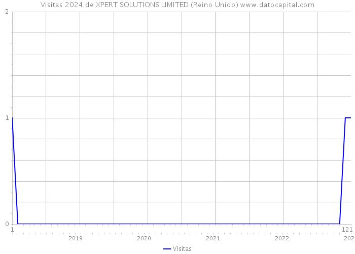 Visitas 2024 de XPERT SOLUTIONS LIMITED (Reino Unido) 