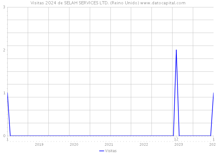 Visitas 2024 de SELAH SERVICES LTD. (Reino Unido) 