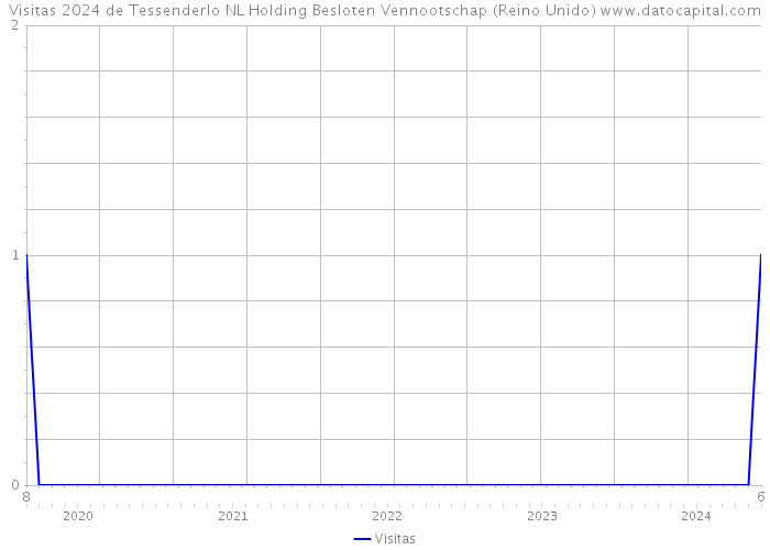 Visitas 2024 de Tessenderlo NL Holding Besloten Vennootschap (Reino Unido) 