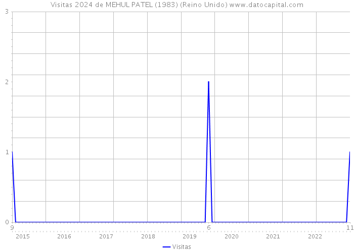 Visitas 2024 de MEHUL PATEL (1983) (Reino Unido) 