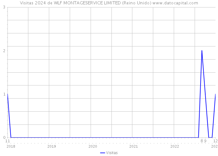 Visitas 2024 de WLF MONTAGESERVICE LIMITED (Reino Unido) 