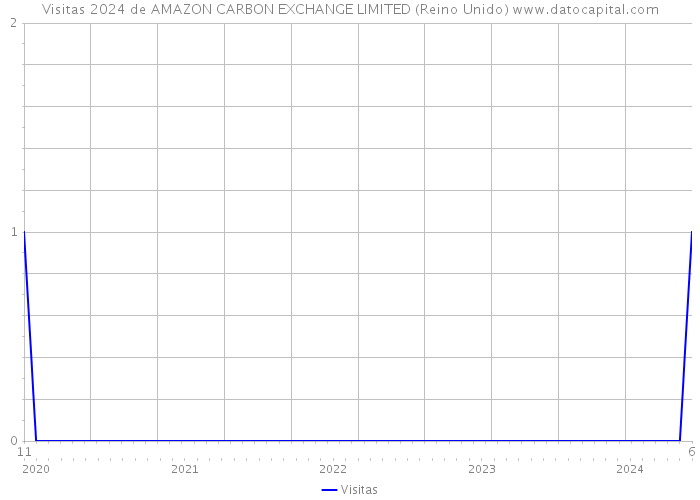 Visitas 2024 de AMAZON CARBON EXCHANGE LIMITED (Reino Unido) 