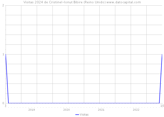 Visitas 2024 de Cristinel-Ionut Bibire (Reino Unido) 