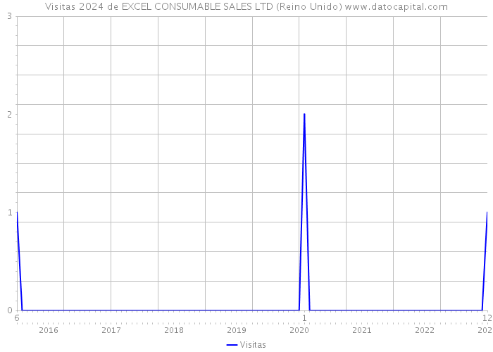 Visitas 2024 de EXCEL CONSUMABLE SALES LTD (Reino Unido) 