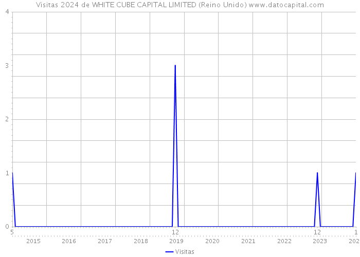 Visitas 2024 de WHITE CUBE CAPITAL LIMITED (Reino Unido) 