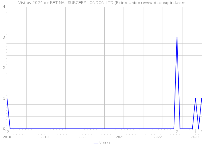 Visitas 2024 de RETINAL SURGERY LONDON LTD (Reino Unido) 