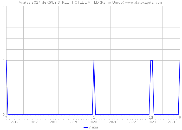 Visitas 2024 de GREY STREET HOTEL LIMITED (Reino Unido) 