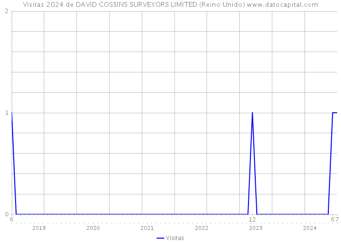 Visitas 2024 de DAVID COSSINS SURVEYORS LIMITED (Reino Unido) 