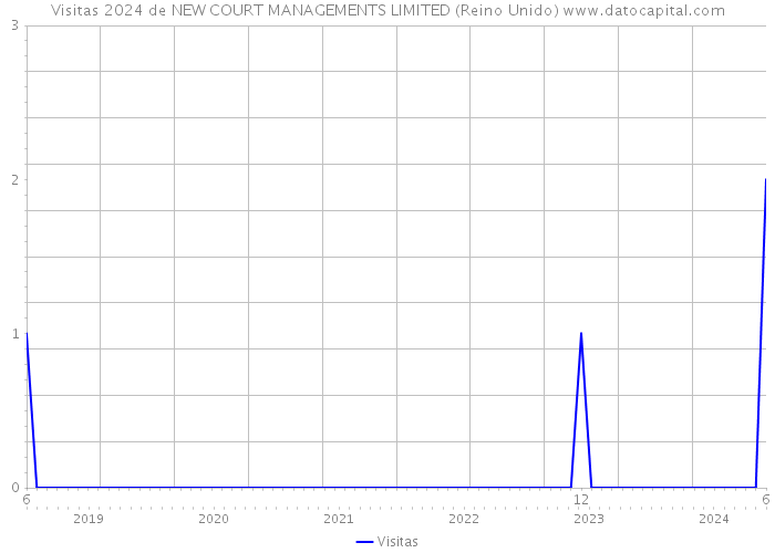 Visitas 2024 de NEW COURT MANAGEMENTS LIMITED (Reino Unido) 