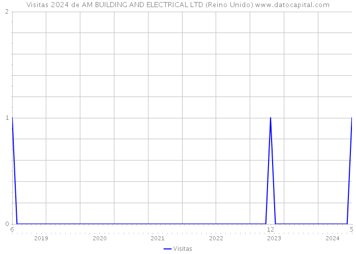 Visitas 2024 de AM BUILDING AND ELECTRICAL LTD (Reino Unido) 