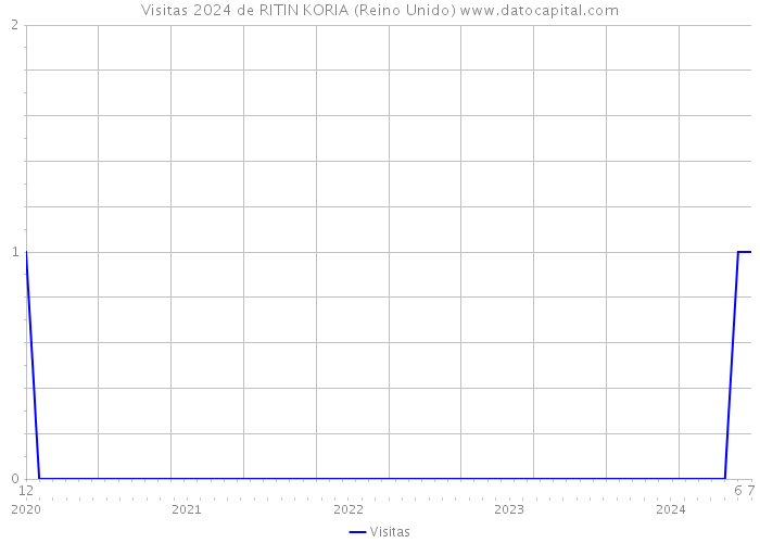 Visitas 2024 de RITIN KORIA (Reino Unido) 