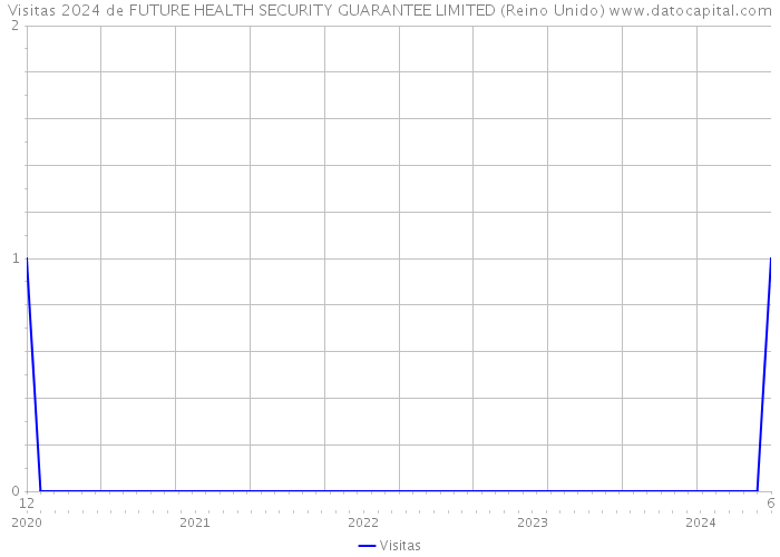 Visitas 2024 de FUTURE HEALTH SECURITY GUARANTEE LIMITED (Reino Unido) 
