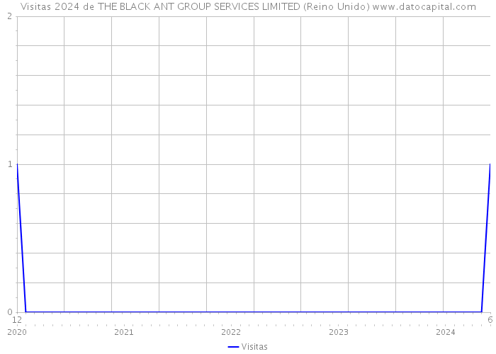 Visitas 2024 de THE BLACK ANT GROUP SERVICES LIMITED (Reino Unido) 