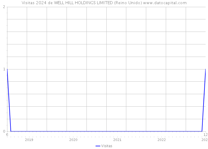Visitas 2024 de WELL HILL HOLDINGS LIMITED (Reino Unido) 