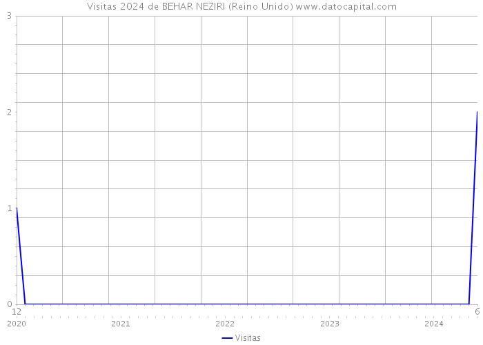 Visitas 2024 de BEHAR NEZIRI (Reino Unido) 