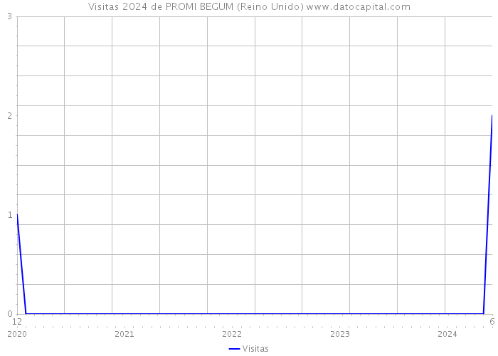 Visitas 2024 de PROMI BEGUM (Reino Unido) 