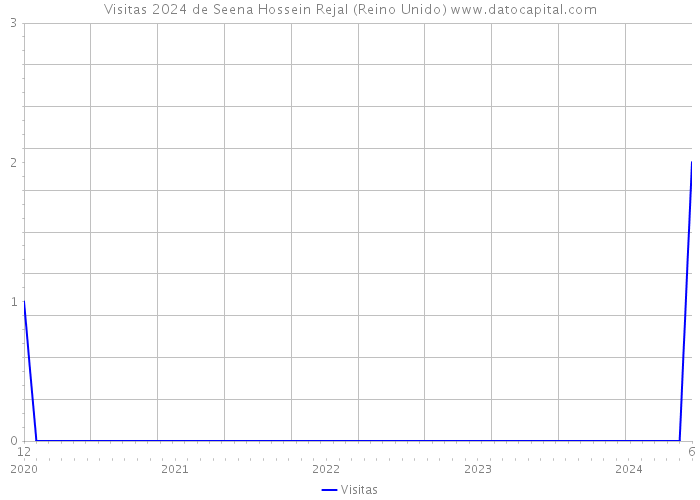 Visitas 2024 de Seena Hossein Rejal (Reino Unido) 