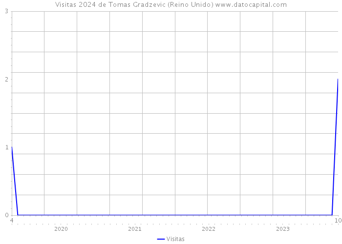 Visitas 2024 de Tomas Gradzevic (Reino Unido) 