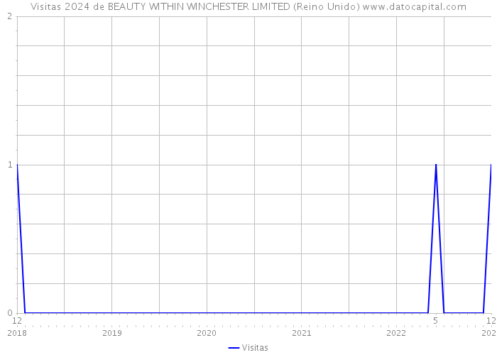Visitas 2024 de BEAUTY WITHIN WINCHESTER LIMITED (Reino Unido) 