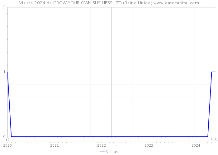 Visitas 2024 de GROW YOUR OWN BUSINESS LTD (Reino Unido) 