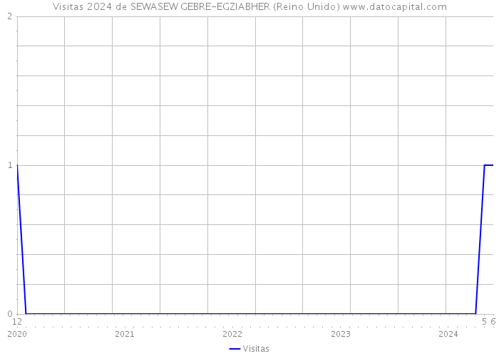 Visitas 2024 de SEWASEW GEBRE-EGZIABHER (Reino Unido) 