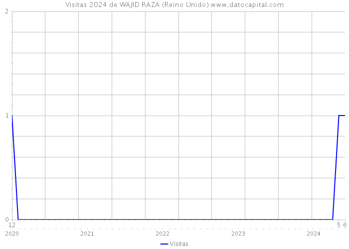 Visitas 2024 de WAJID RAZA (Reino Unido) 