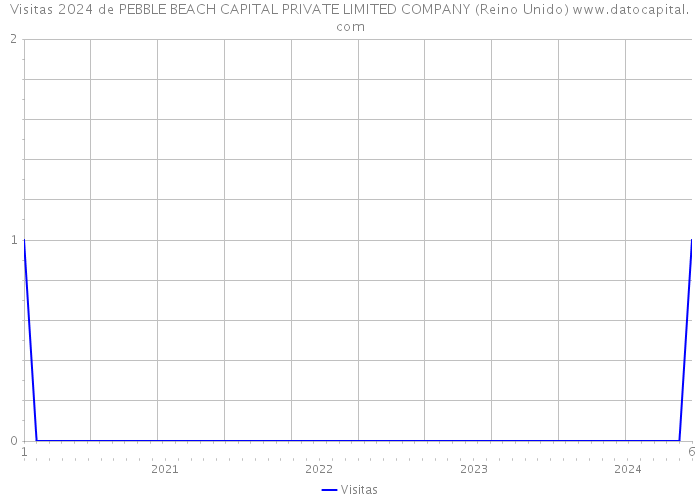 Visitas 2024 de PEBBLE BEACH CAPITAL PRIVATE LIMITED COMPANY (Reino Unido) 