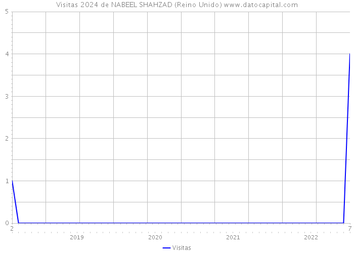 Visitas 2024 de NABEEL SHAHZAD (Reino Unido) 