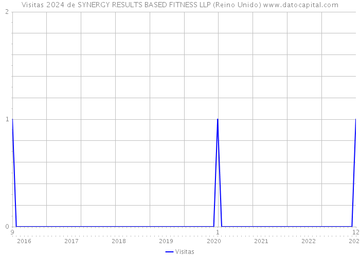 Visitas 2024 de SYNERGY RESULTS BASED FITNESS LLP (Reino Unido) 