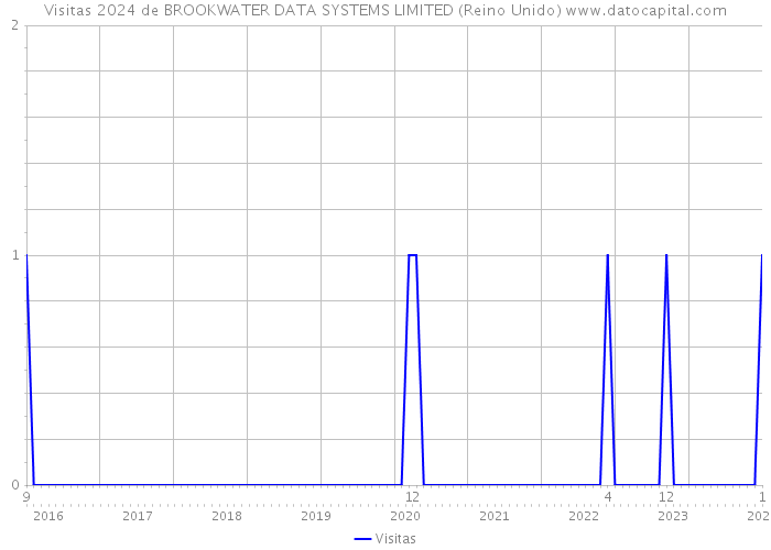 Visitas 2024 de BROOKWATER DATA SYSTEMS LIMITED (Reino Unido) 