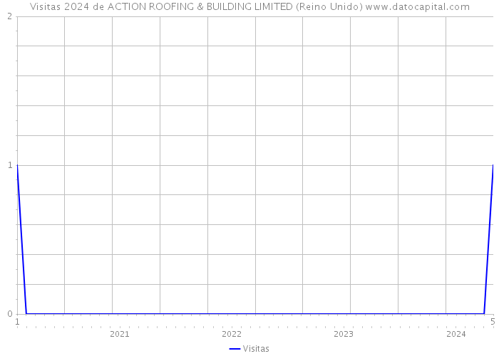 Visitas 2024 de ACTION ROOFING & BUILDING LIMITED (Reino Unido) 