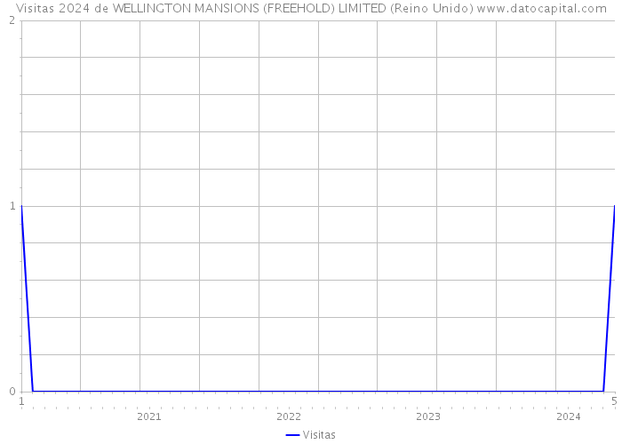 Visitas 2024 de WELLINGTON MANSIONS (FREEHOLD) LIMITED (Reino Unido) 