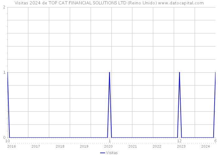 Visitas 2024 de TOP CAT FINANCIAL SOLUTIONS LTD (Reino Unido) 