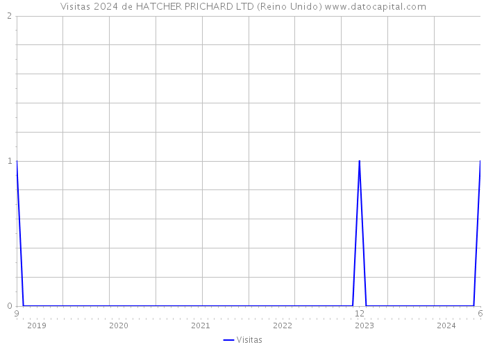 Visitas 2024 de HATCHER PRICHARD LTD (Reino Unido) 