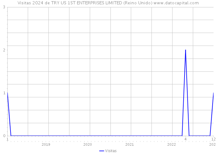 Visitas 2024 de TRY US 1ST ENTERPRISES LIMITED (Reino Unido) 