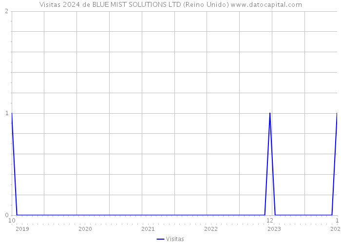 Visitas 2024 de BLUE MIST SOLUTIONS LTD (Reino Unido) 