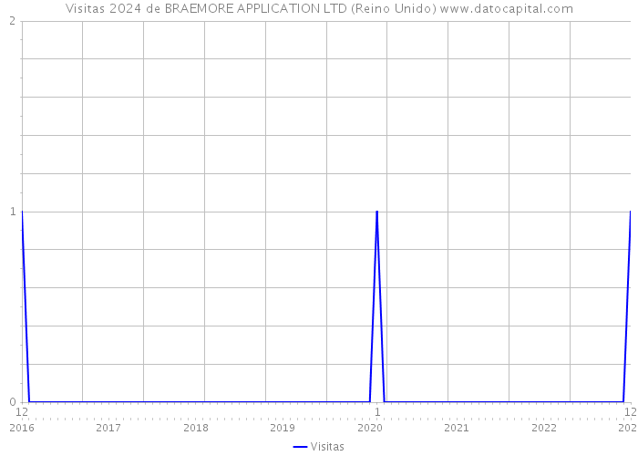 Visitas 2024 de BRAEMORE APPLICATION LTD (Reino Unido) 