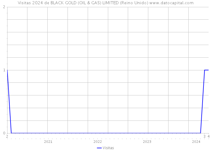 Visitas 2024 de BLACK GOLD (OIL & GAS) LIMITED (Reino Unido) 