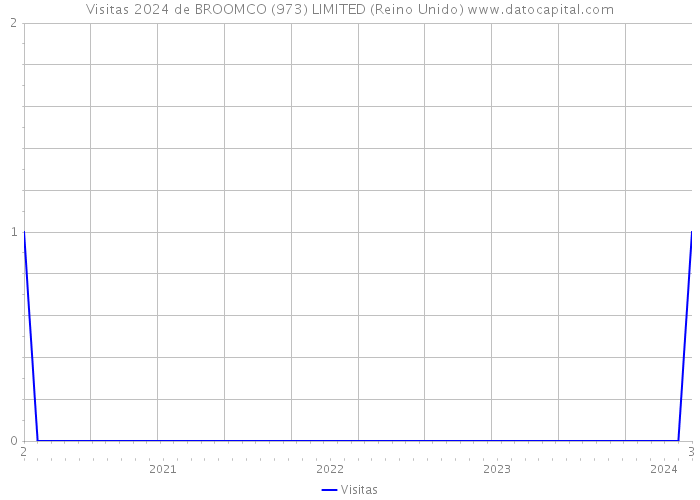 Visitas 2024 de BROOMCO (973) LIMITED (Reino Unido) 