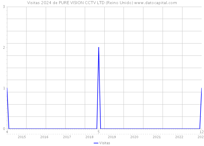 Visitas 2024 de PURE VISION CCTV LTD (Reino Unido) 