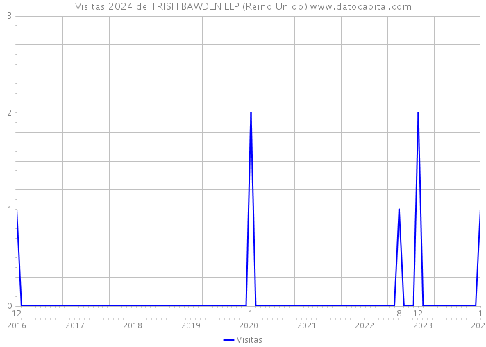 Visitas 2024 de TRISH BAWDEN LLP (Reino Unido) 