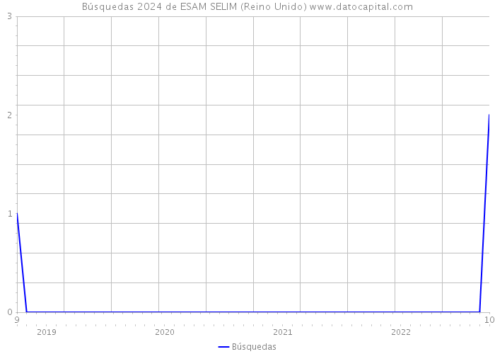 Búsquedas 2024 de ESAM SELIM (Reino Unido) 