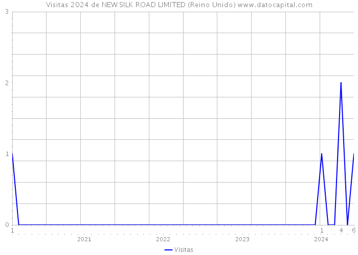 Visitas 2024 de NEW SILK ROAD LIMITED (Reino Unido) 