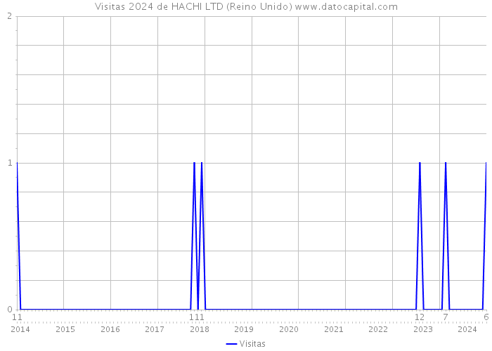 Visitas 2024 de HACHI LTD (Reino Unido) 