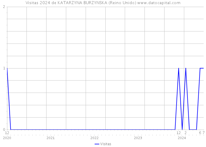 Visitas 2024 de KATARZYNA BURZYNSKA (Reino Unido) 