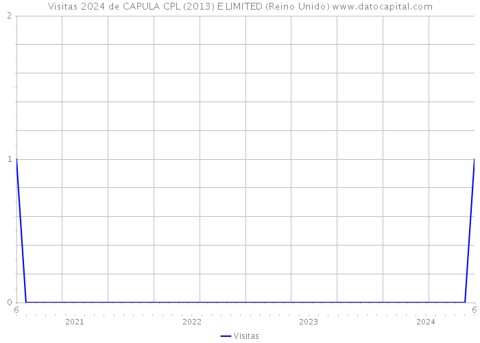 Visitas 2024 de CAPULA CPL (2013) E LIMITED (Reino Unido) 